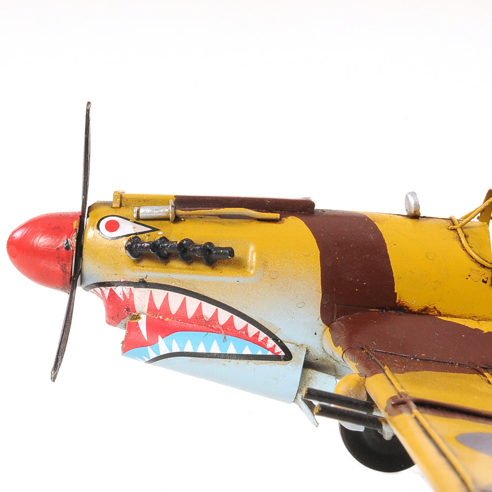 1941 Curtiss Hawk 81A 1:29