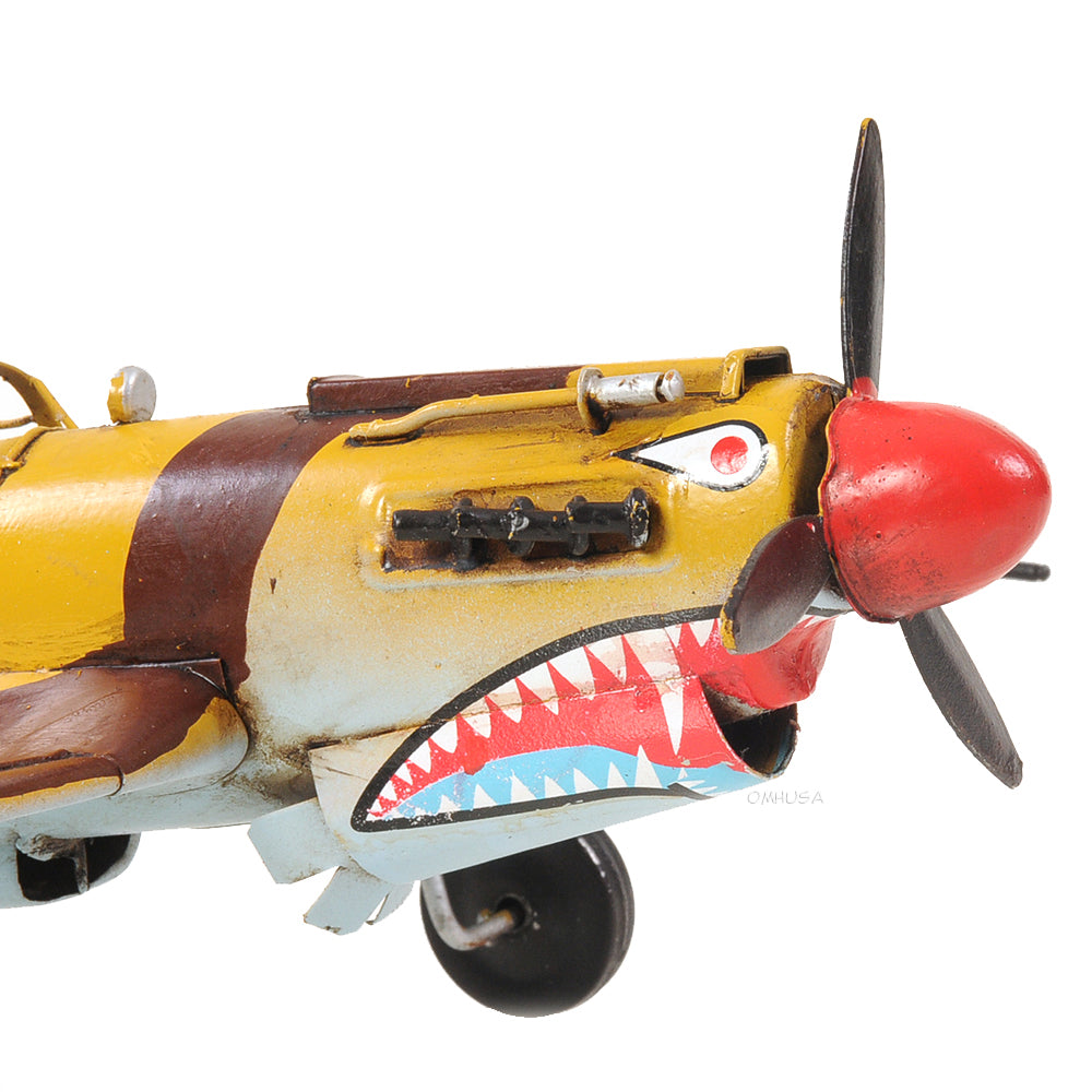 1941 Curtiss Hawk 81A 1:29