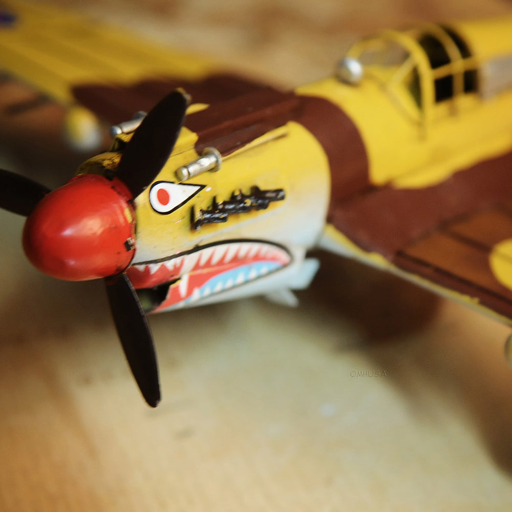 1941 Curtiss Hawk 81A 1:29