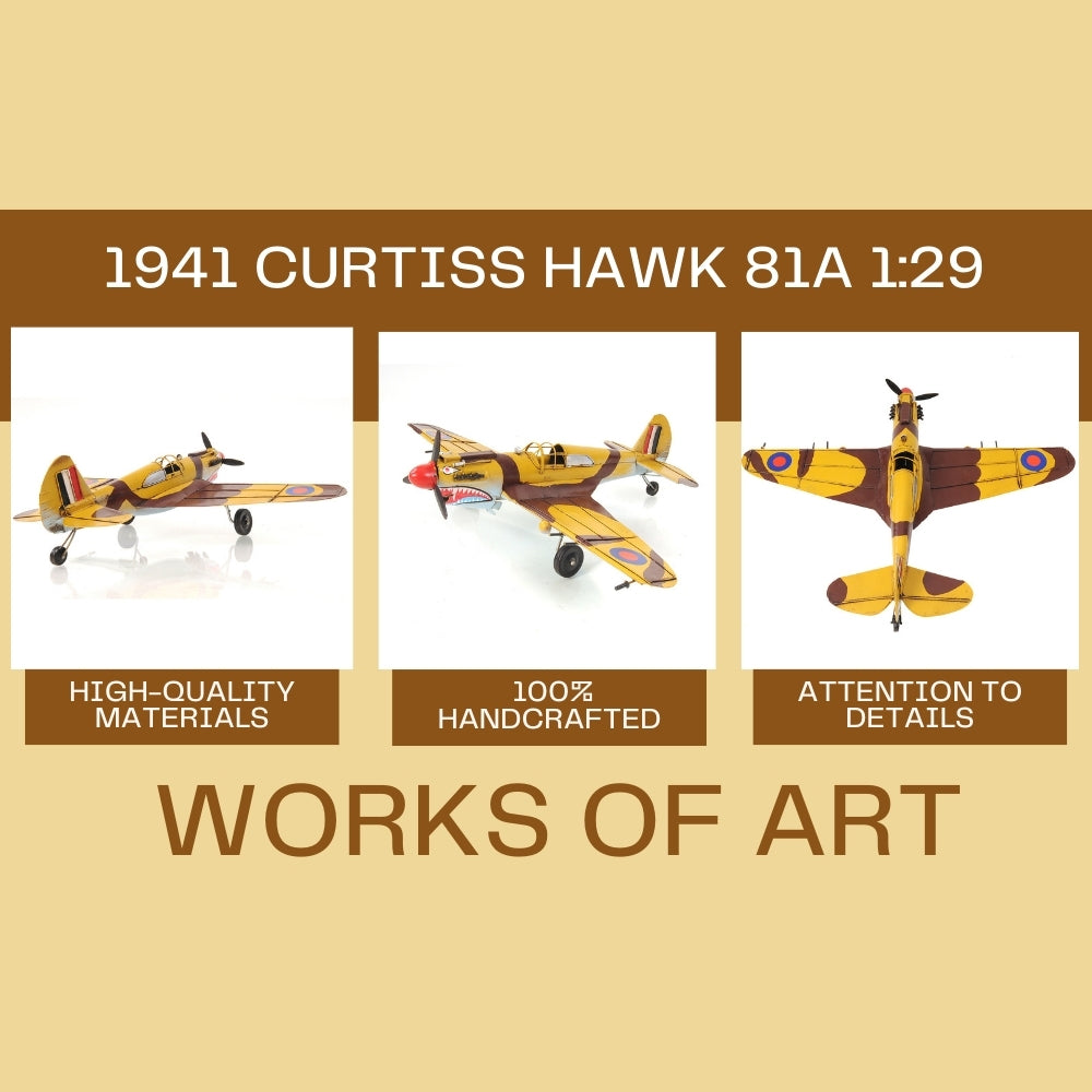 1941 Curtiss Hawk 81A 1:29