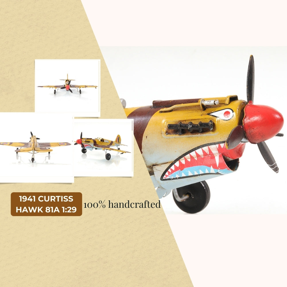 1941 Curtiss Hawk 81A 1:29
