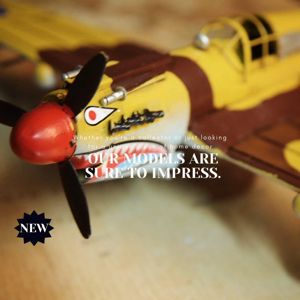 1941 Curtiss Hawk 81A 1:29