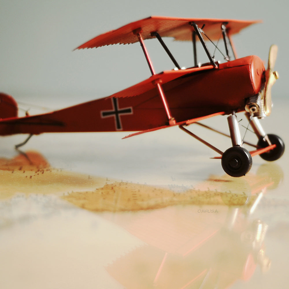 1917 Red Baron Fokker Triplane