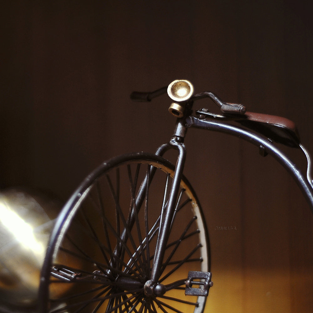 1870 The High Wheeler -Penny Farthing