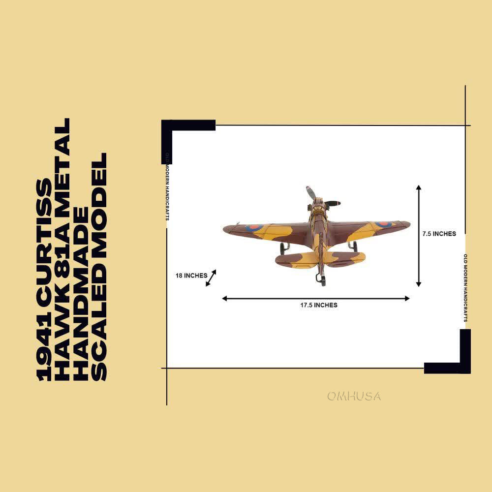 1941 Curtiss Hawk 81A Metal Handmade Scaled Model
