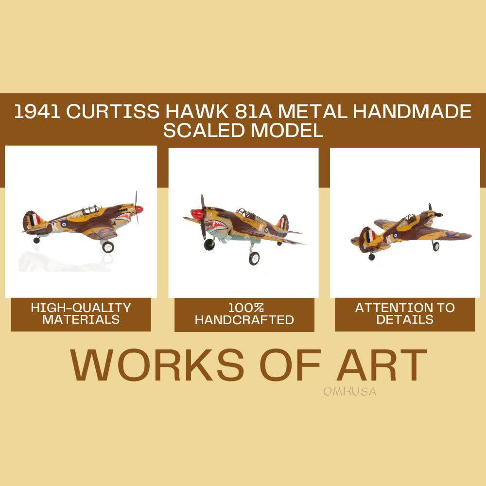 1941 Curtiss Hawk 81A Metal Handmade Scaled Model