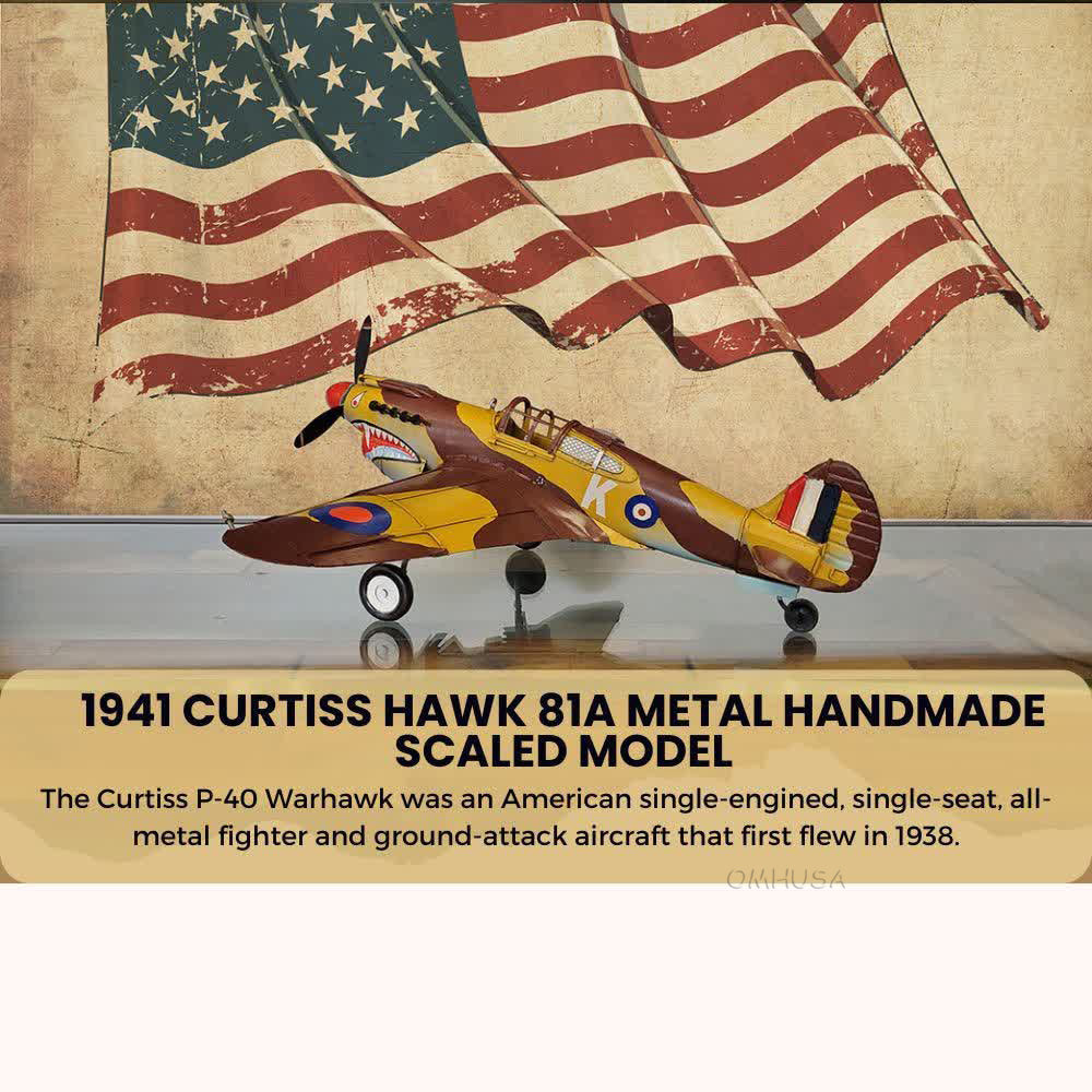 1941 Curtiss Hawk 81A Metal Handmade Scaled Model