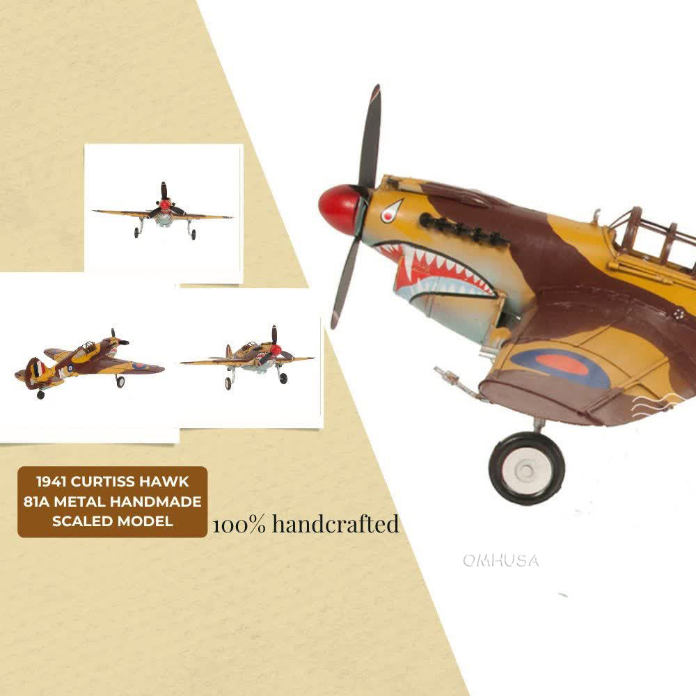 1941 Curtiss Hawk 81A Metal Handmade Scaled Model