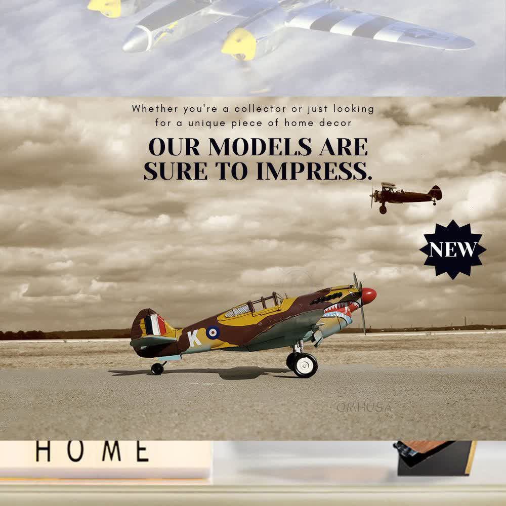 1941 Curtiss Hawk 81A Metal Handmade Scaled Model