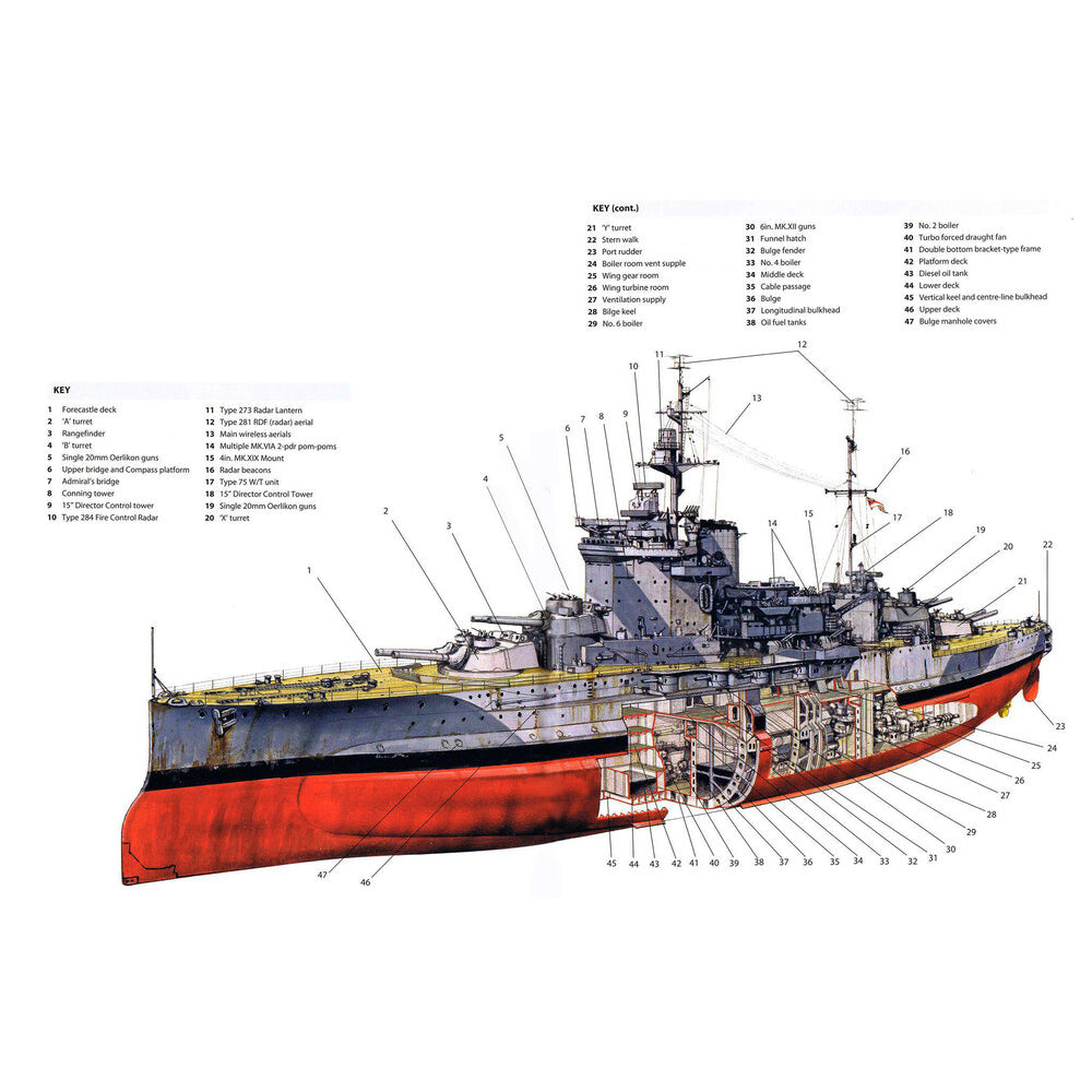 HMS Warspite (Queen Elizabeth-Class) 36 Inches Battleship Model