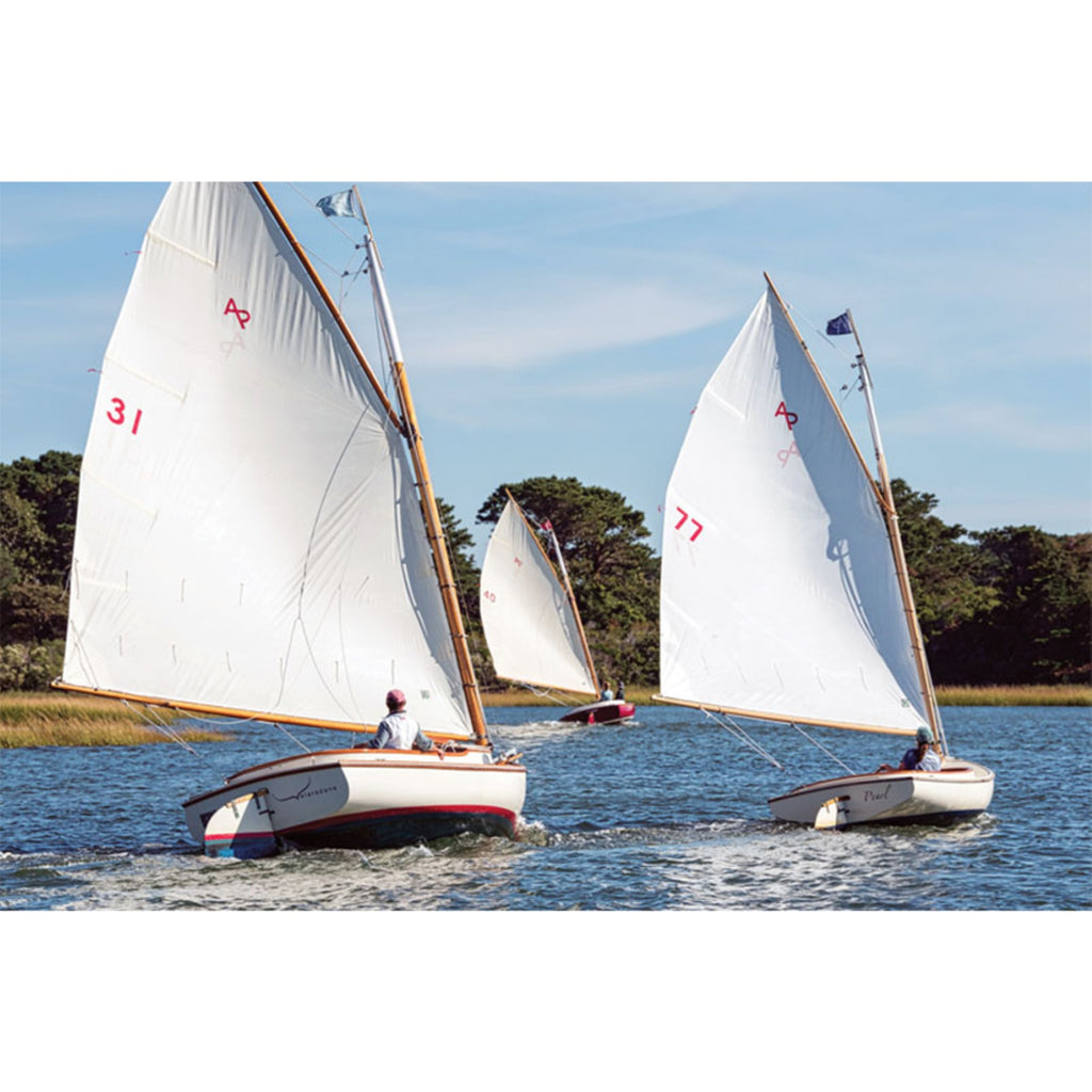 The Catboat - 30 inches boat model