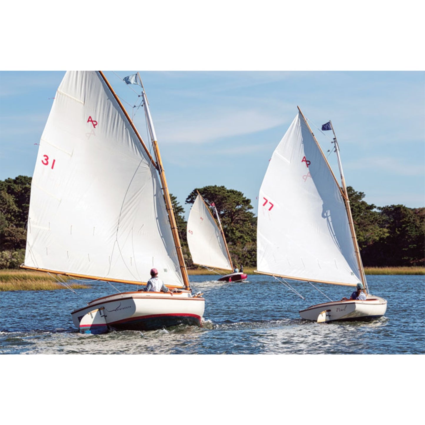 The Catboat - 30 inches boat model