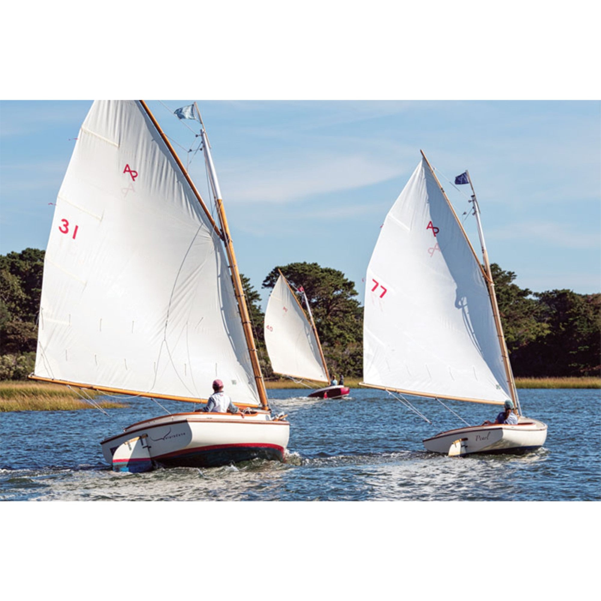The Catboat 16ft. Custom Built Sailboat